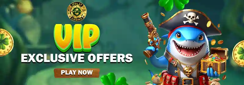 VIP EXCLUSIVE OFFERS